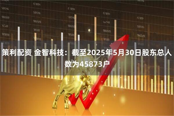 策利配资 金智科技：截至2025年5月30日股东总人数为45873户
