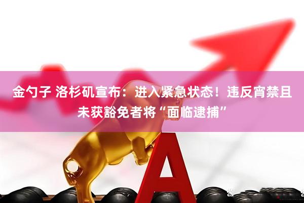 金勺子 洛杉矶宣布：进入紧急状态！违反宵禁且未获豁免者将“面临逮捕”