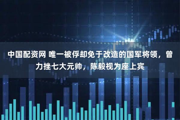 中国配资网 唯一被俘却免于改造的国军将领，曾力挫七大元帅，陈毅视为座上宾